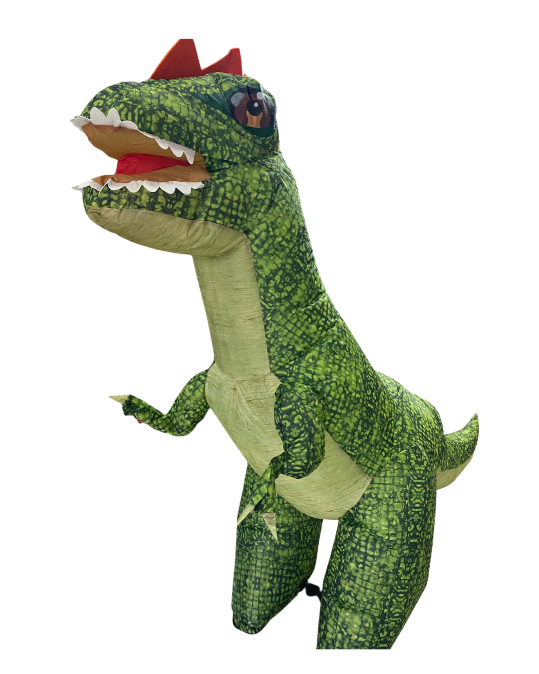 Dinosaurio inflable grande
