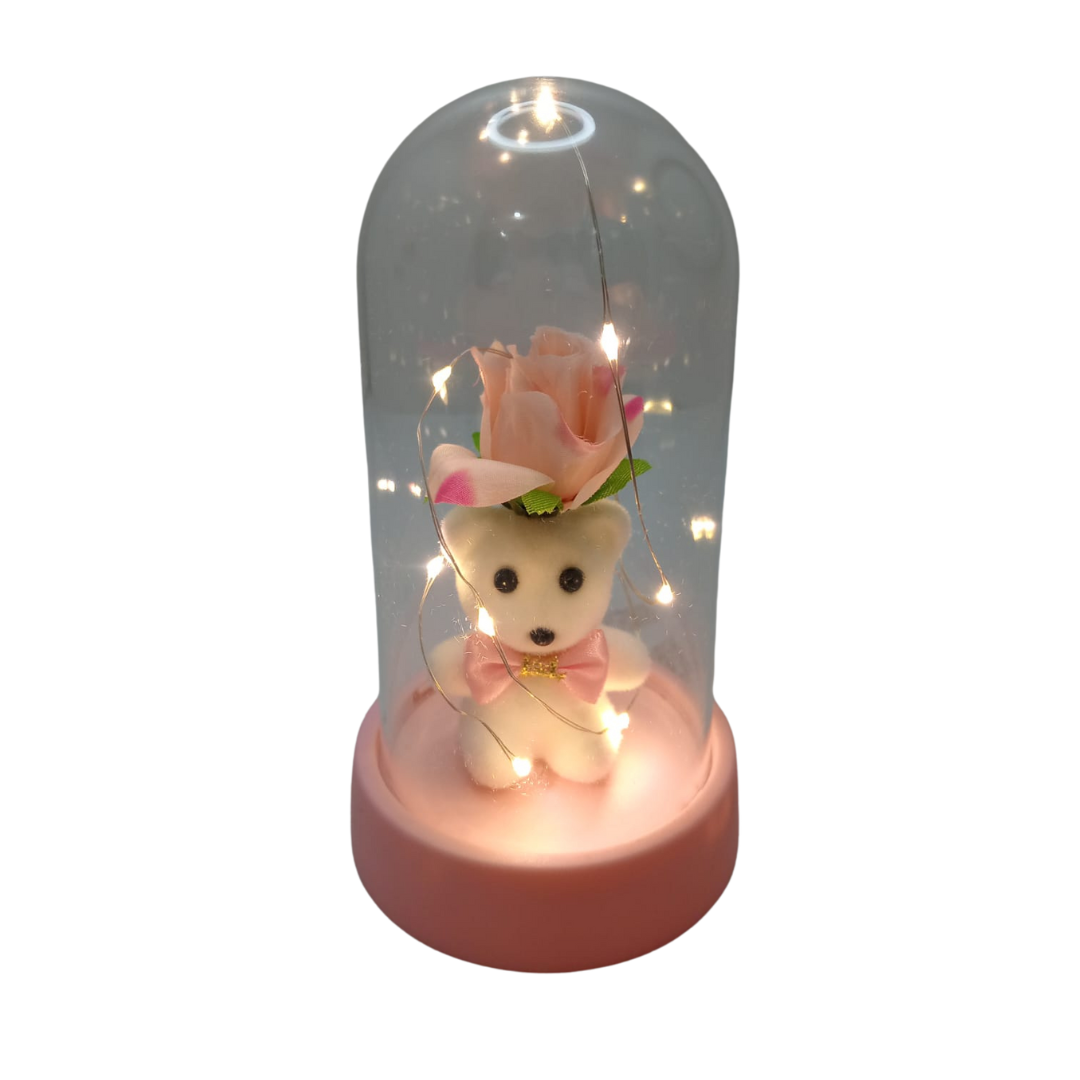 Urna de osos con luz