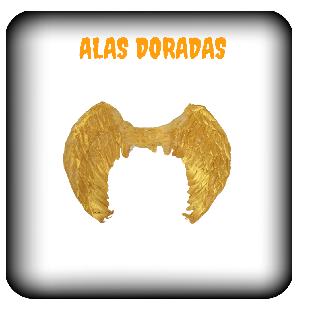 Alas doradas y plateadas